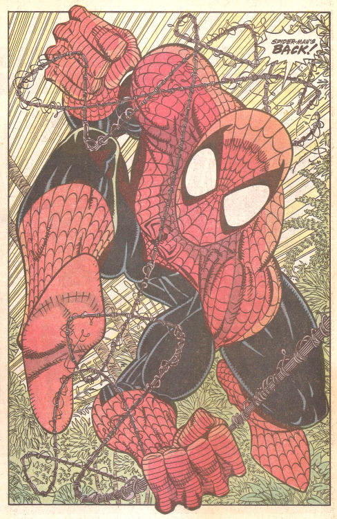 SPIDER-MAN’S BACK! (by Erik Larsen &amp; Randy Emberlin from Amazing Spider-Man #343, 1991)