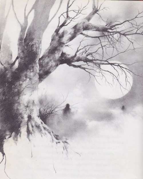 Sex vespertinavi:  My favorite Stephen Gammell pictures