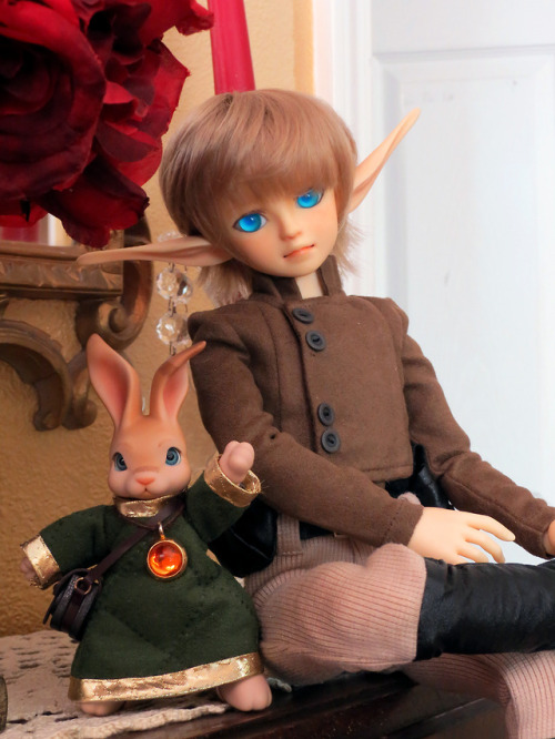 volks msd