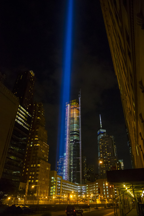 XXX gordonovan:  Tribute in Light The Tribute photo