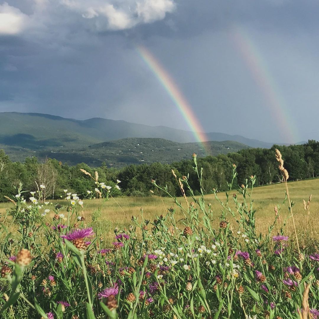 traveled to new places⁠ where I walked on some of the oldest river beds, made it through monumental gorges, and became immersed in color 🌈 ⁠
⁠
I. Northern Vermont⁠ ⁠⁠ ⁠
II. Acadia, Maine⁠
III. The Finger...