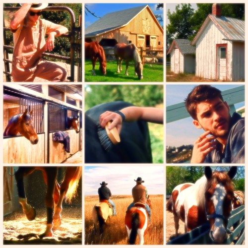 xsophie2x:Thiam and horses Theo/Liam