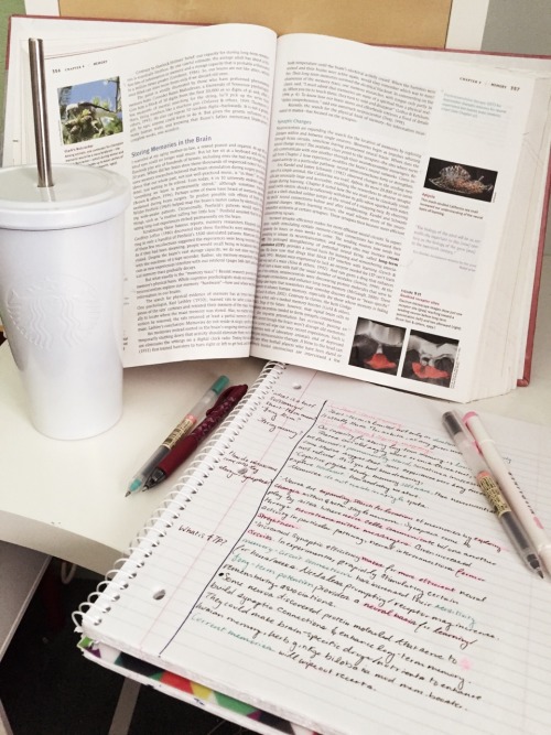 agreekstudent:I finally get to learn about memory! I take my notes Cornell style so I can quiz mysel