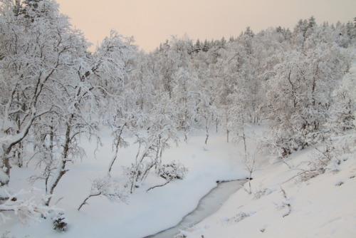 Frozen stream, Saariselkä by Mike Crowle