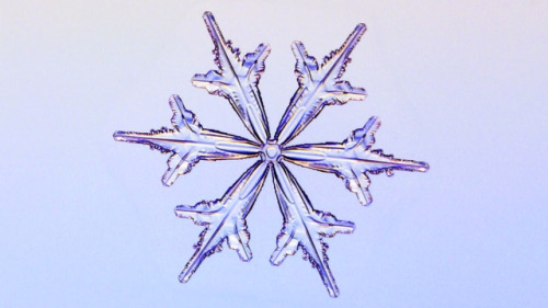 Identical Snowflakes? Scientist Ruins Winter For EveryoneWe&rsquo;ve all heard that each and every s