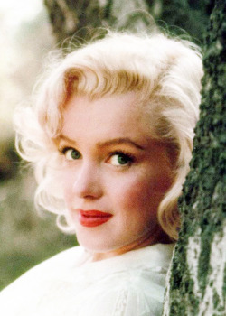 missmonroes: Marilyn Monroe photographed by Milton Greene, 1953 