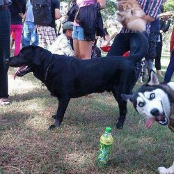 Best Photobomber Ever! #Photobomb #Igers #Instagood #Instahumor #Funny #Funnyashell