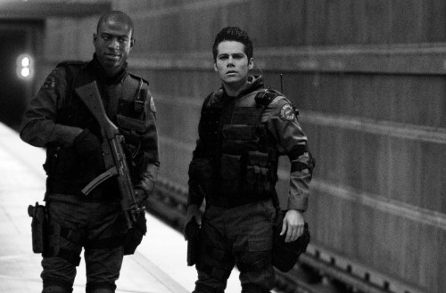 Teen Wolf AU: SWAT Team