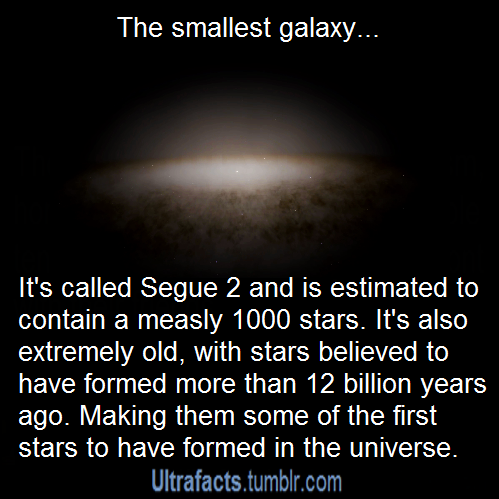 lucifer-got-sass:  ultrafacts:  Some space facts. More facts on Ultrafacts Blog  mars one sounds like a recipe for a horror show.   