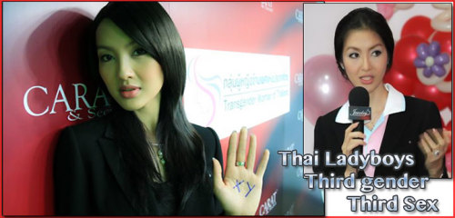 Transsexual in Thailand are everywhere, Bangkok, Phuket, Chiang Mai, and more than most in Pattaya c