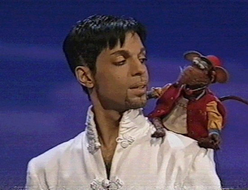 toughpigs:  Prince and the Muppets.