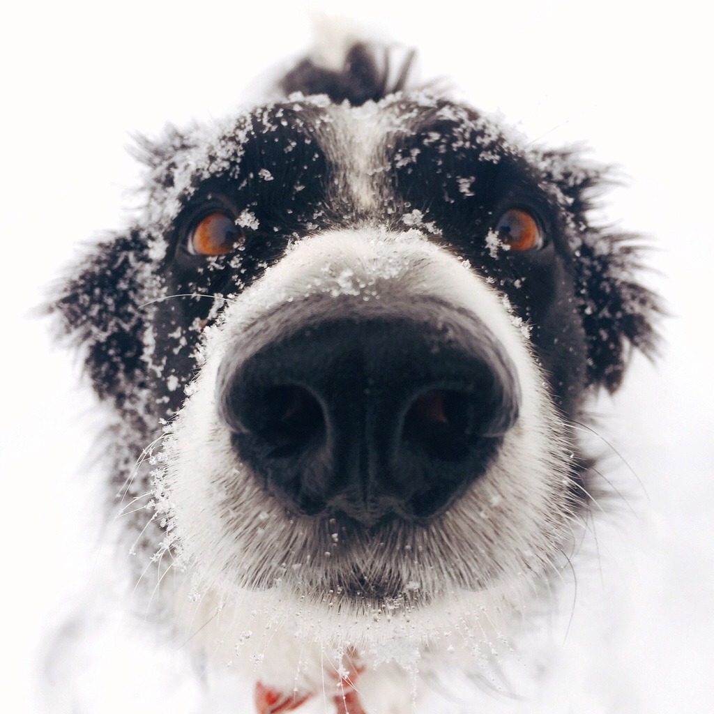 findmomo:  Sometimes, winter gets you stuck where you’re visiting for an extra
