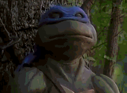 pi4nobl4ck:  Cowabunga 
