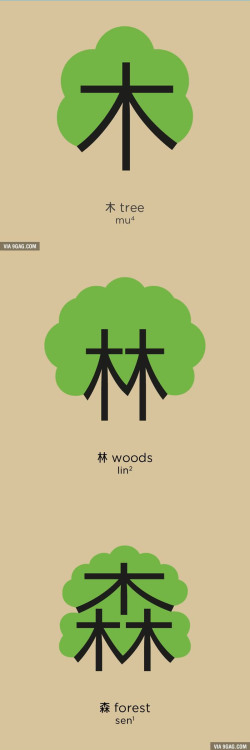 2114. Chineasy by Shao Lan Hsueh. Cute drawings to help you remember some easy chinese characters!