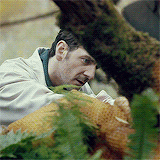 nbchannibal:  stupidscalptattoos:  He-Ate-Us meme: 5 crime scenes  ↳ 4/5 Bee Guy (2x4)   