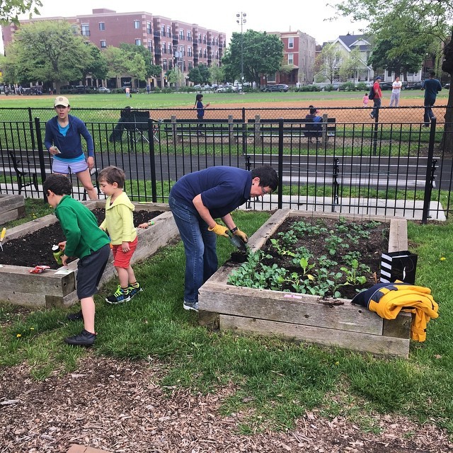 So much garden action today. Everyone pitching in: that’s community. #urbangarden #chicago #chicagoparkdistrict