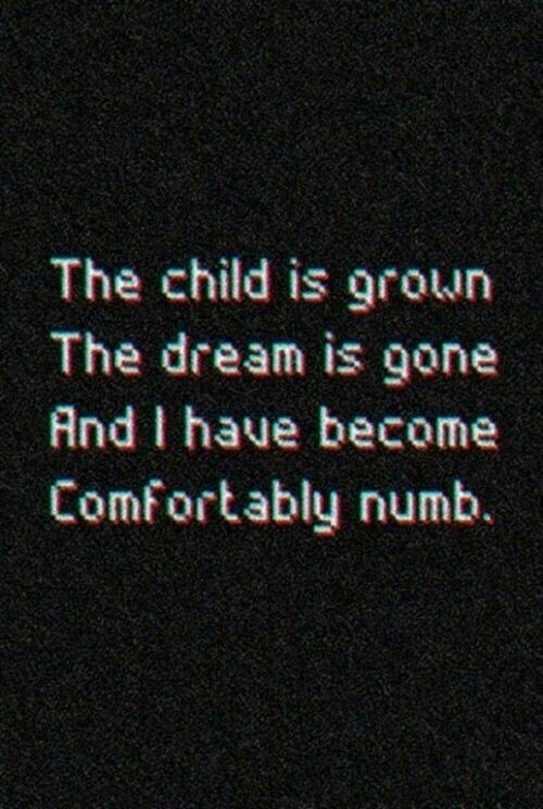 picmex: Comfortably numb.