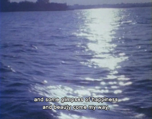 lostinpersona:As I Was Moving Ahead Occasionally I Saw Brief Glimpses of Beauty, Jonas Mekas (2000)