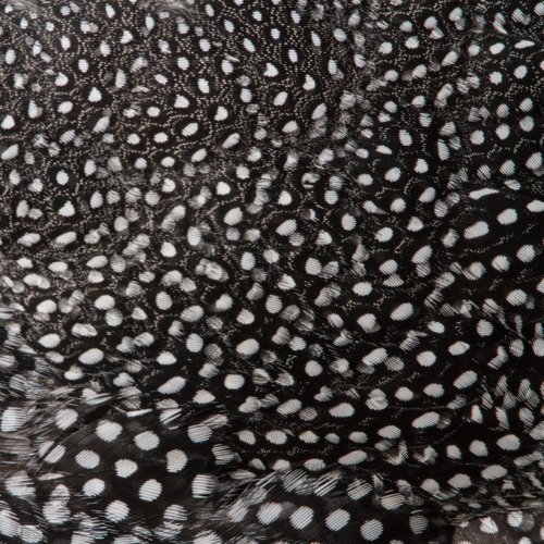 nyctaeus:  Yusuke Sakai, ‘Skin’