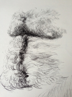 thedailydrawingproject:  Etude de torse, lundi 15 avril2013 / feutre sur papier By Olivier Flandrois [ Follow The daily drawing project ] 