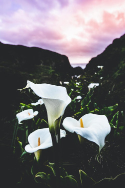 lsleofskye:  Garrapata State Park