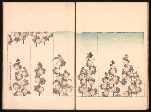 heaveninawildflower:Images taken from ‘Ink Traces of Kenzan’ (1823) by Sakai Hōitsu (Japanese, 1761–