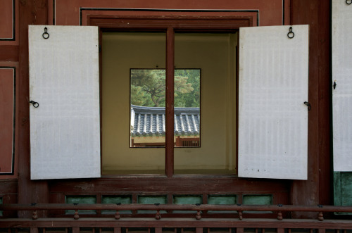 한국의 창(the window of Korea)