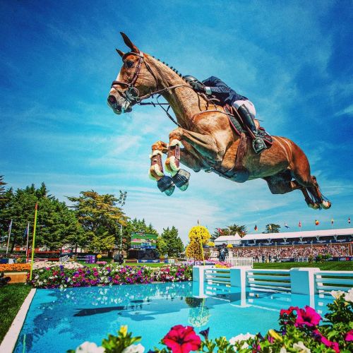 #patricedelaveau #jumpinglabaule #2018 #showjumper #showjumping #showjumpinghorse #rider #twohearts 