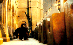 oakenbaggins:  thorin + being protective of the company