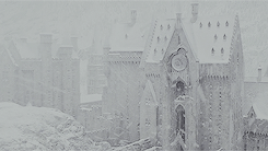 cassiesullivan:get to know me meme: [1/20] movies ♥ harry potter (2001-2011)Happiness can be found e