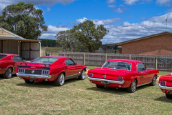 musclecarpower:  Johnno’s BBQ 2012 by evvvvan on Flickr. 