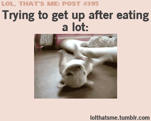 relatable-images:  feeling sad? look at this baby animal blog!