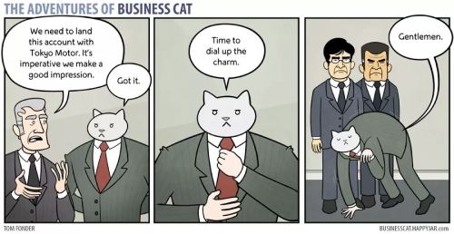 tomibunny:  a-night-in-wonderland: The Adventures Of Business Cat #i like these cause it implies that depsite all these weird things he does hes so good at buisness #that they let it slide 