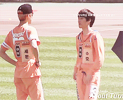 yixning:  when a wild suho appears and starts dancing to growl 