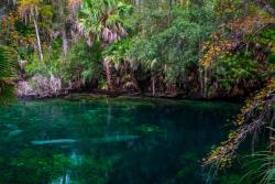 theencompassingworld:  travelgurus:                Opening of the Spring at Blue Springs, Florida by spainiana                                                                      [4000x6000]          