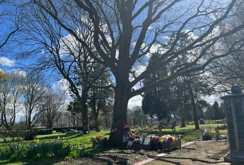 Cemeteries Are Such Beautiful Places. Theres So Much Unconditional Love.