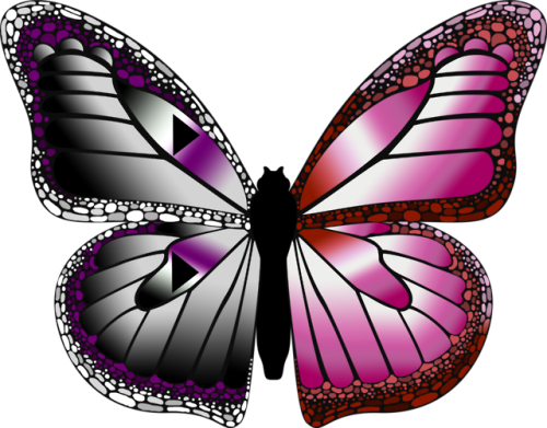 emilylaj:For Pride month, I’ve made some Demisexual/Other butterflies! Demisexual/Lesbian, Dem