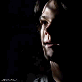 Reblog if you proudly ship Wincest and don't give a shit about what anyone says about
