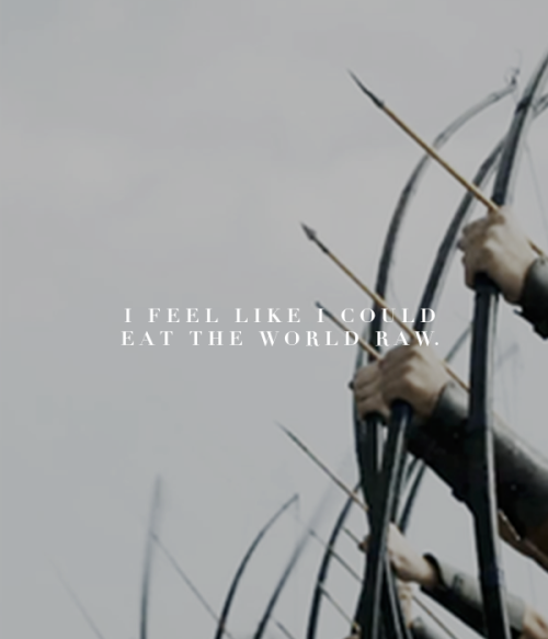 herondelles:  favorite quotes: the song of achilles “i would know him in death, at the end of the wo