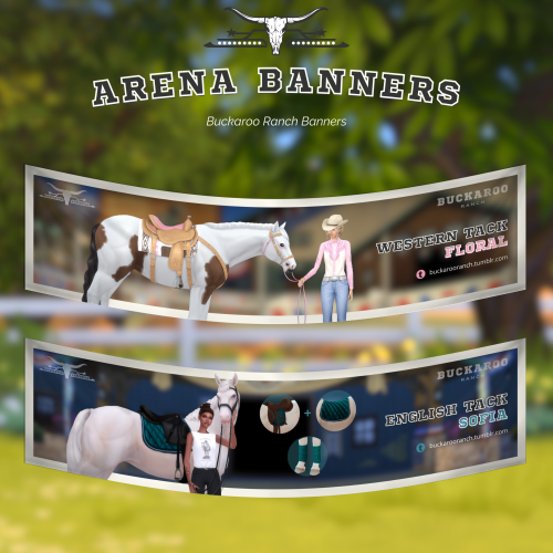 Hello Horsey Enthusiasts!