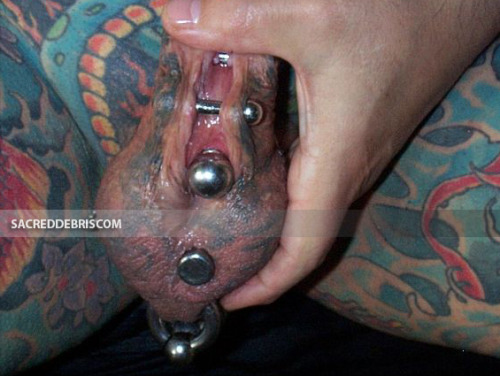 sacreddebris: &ldquo;I thought you should be the first to see these. Stunning piercing, hopefull