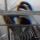 wackitvixx:  geopum-eongdongi:  That monster that hides in your closet is just probably