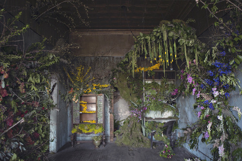 linenandwool:(via lisa waud infills abandoned detroit house with thousands of flowers)