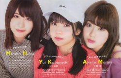 choconobingo:  Habu x Pon x Nen - Smart Magz 2018