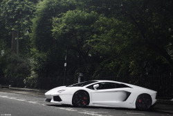 automotivated:  Bianco (by QusaiNusair)