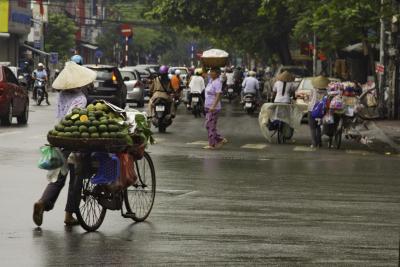 Ha Noi, Transport,  bike and fruit, Vietnam.