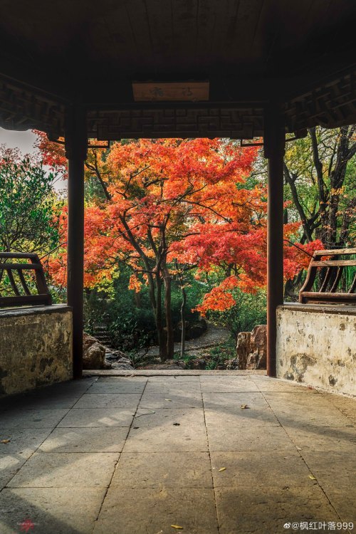 fuckyeahchinesegarden:拙政园zhuozhengyuan, suzhou, jiangsu province by 枫红叶落999