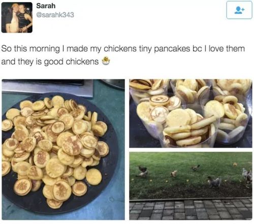 Porn photo surprisebitch: pancakes are made of eggs