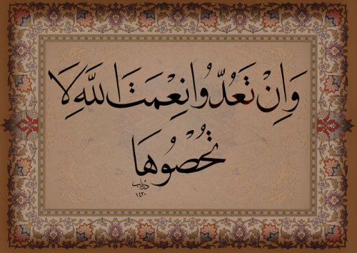 وَإِنْ تَعُدُّوا نِعْمَةَ اللَّهِ لَا تُحْصُوهَا 