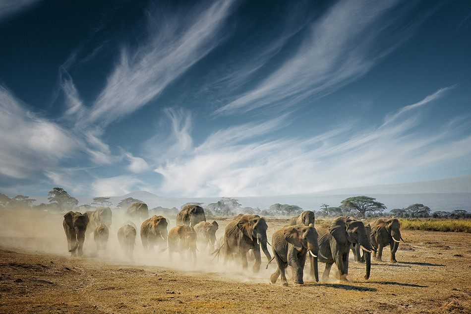 loveandaquestion:  (via 500px / A very long search by Mathilde Guillemot)